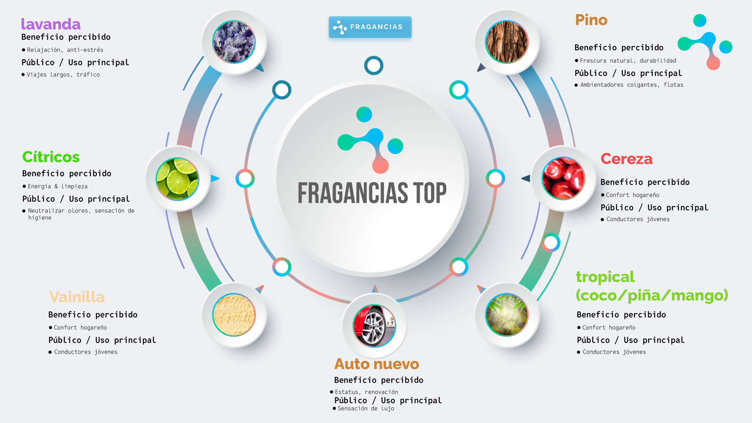 Infografía Blog automotriz 2